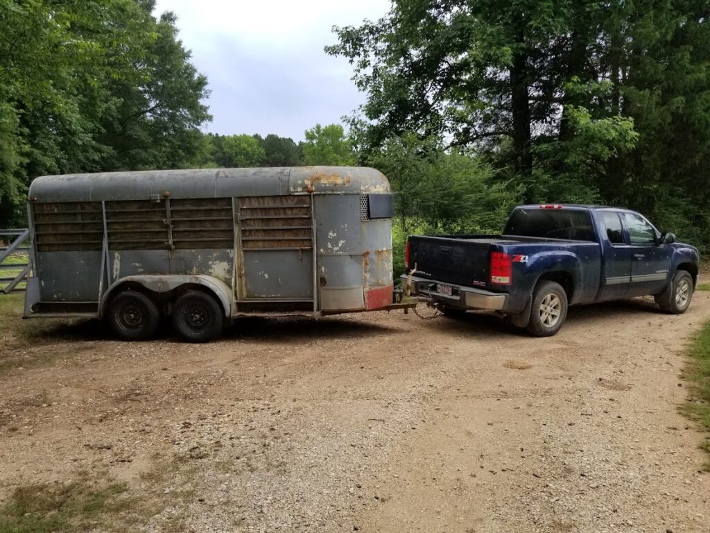 transporting livestock